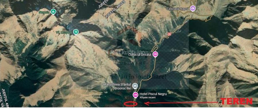 Teren extravilan tip pădure de vânzare 500 mp Arefu Transfăgărășan - 9