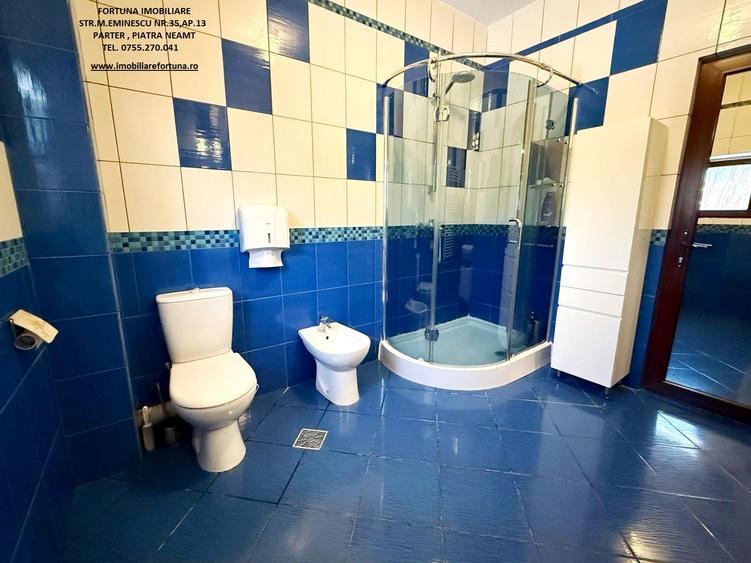 Proprietate com.Girov,compusa din casa, anexe si 8800 mp teren,com.0 cumparator