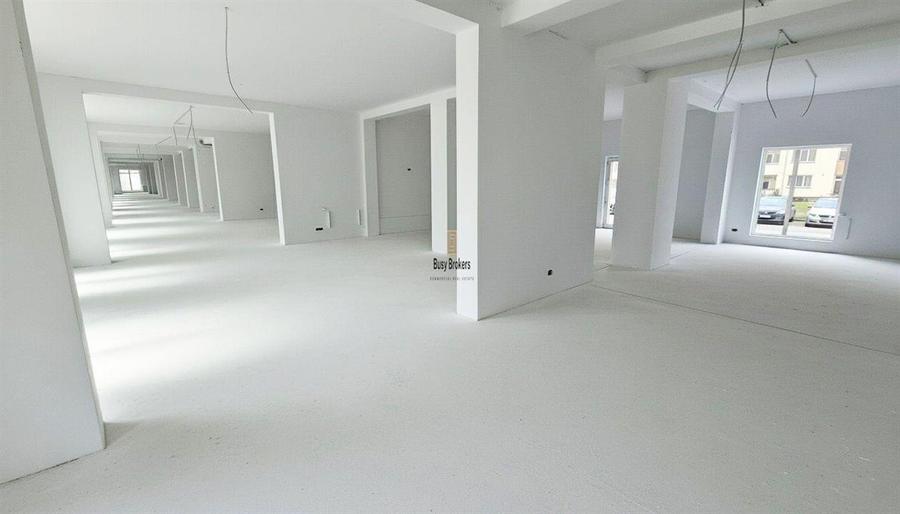 Spatiu Comercial - 300 mp - Doamna Stanca