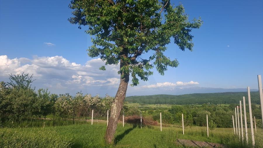 Teren intravilan 809 mp cu deschidere 14 m în Tropinii Noi