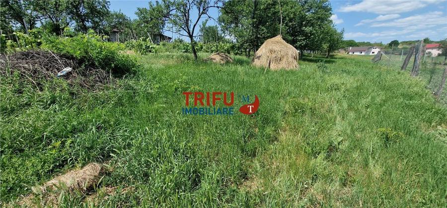 Teren intravilan cu utilitati 1803 mp în Oarda