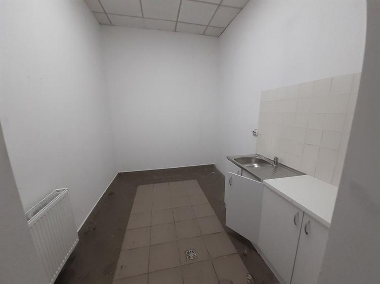 Zona bd. Th. Pallady - hala si birouri 550mp