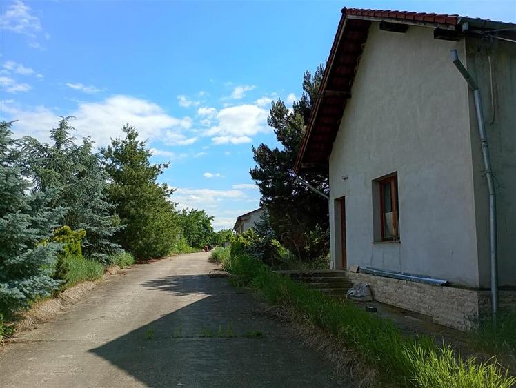 Hala industriala + Casa+ 9650 mp teren
