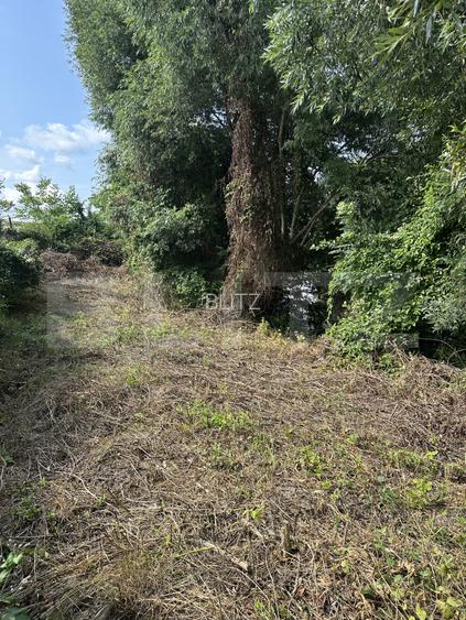 Teren de vanzare – 942 m2 | Zăvoaie,  Bistrita | Acces direct la raul Bistrita - 5