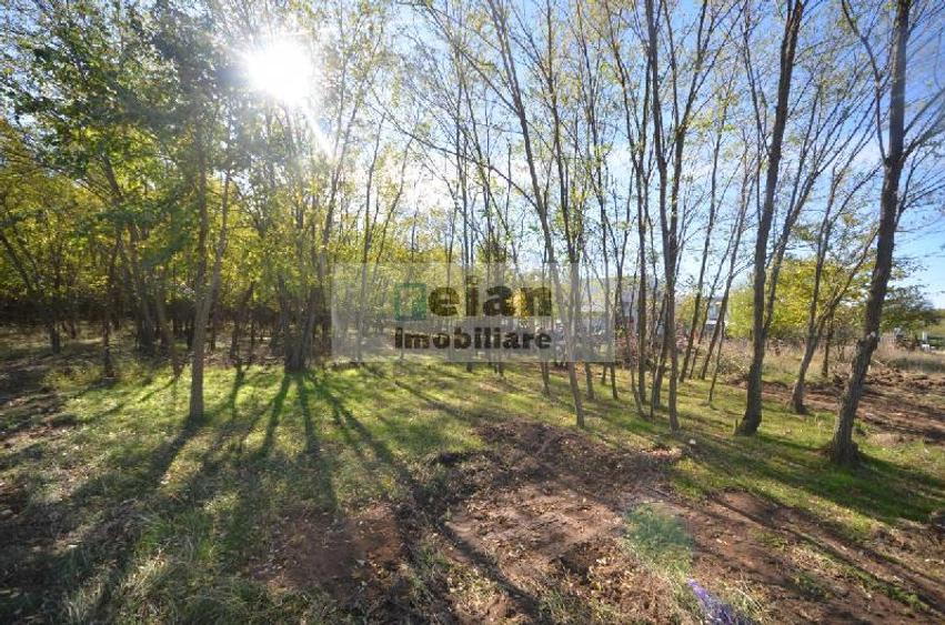 Snagov Ciofliceni Mânastire- Teren 1432 Mp, D 60 M, Curent Gaze Asfalt