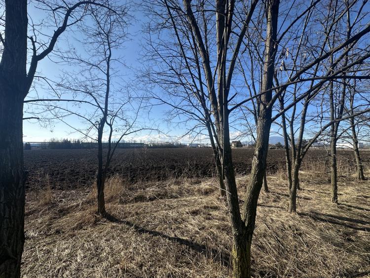 Teren Intravilan 60.000mp