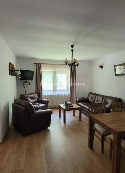 Casa de vacanță Râu Mare Retezat - 9