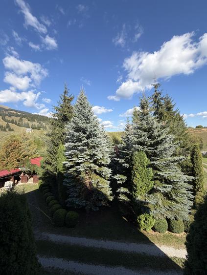 Vilă 400 mp + 3600 mp teren, Dorna Candrenilor