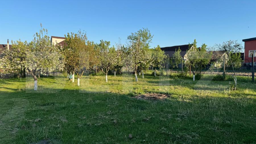 Teren intravilan de vanzare, 1500 mp - Bistrita - Parcelabil - 6