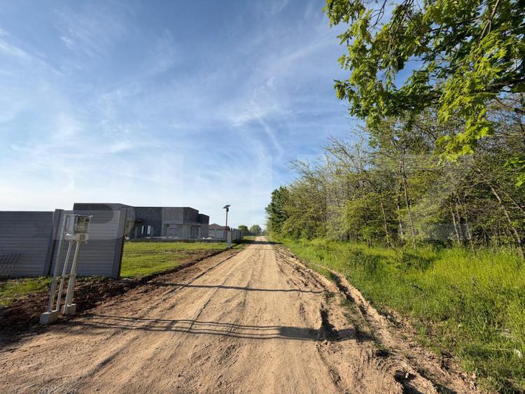 Teren intravilan 2000 mp, langa padure, utilitati, zona Cosoveni