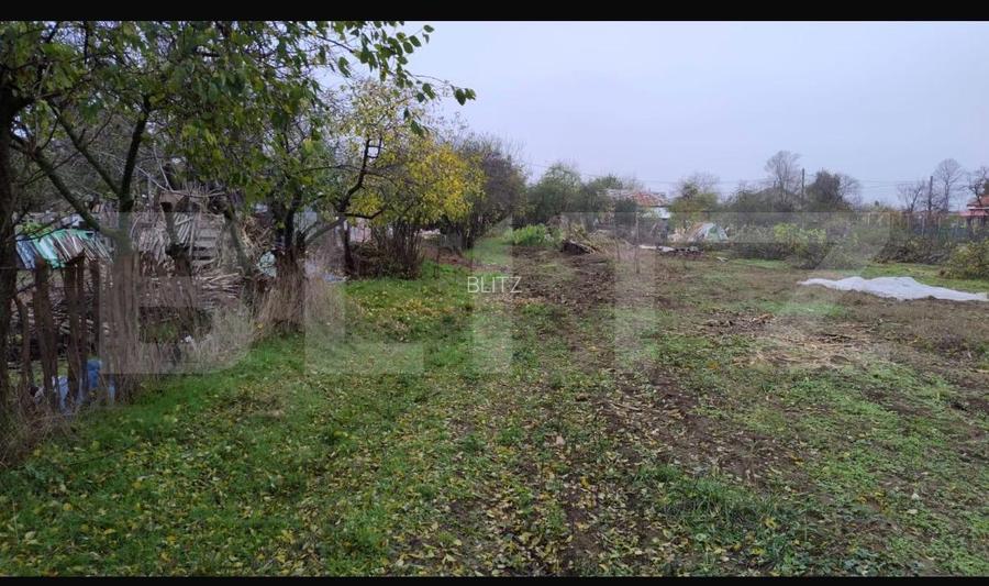 Ocazie investiție! Teren intravilan cu acces stradal, Petresti Dambovita - 2