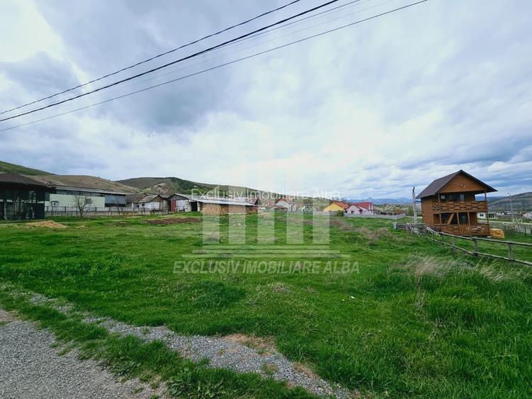 Teren intravilan | 2800 mp | 29 ml deschidere | Micesti - 3
