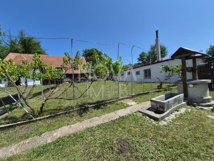 Casa individuala cu teren generos – 8.356 mp – Tichindeal, jud. Sibiu - 27