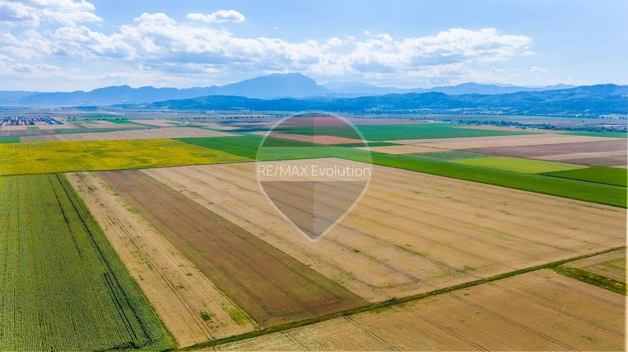 Comision 0% | Teren extravilan agricol 20.000 mp | Cristian, Brașov - 7
