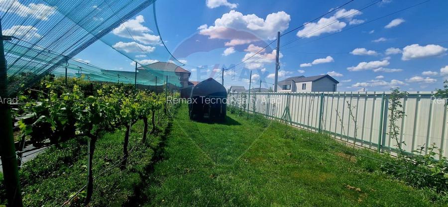 TEREN Investitie livada cu 116 pomi fructiferi in Comuna Livada - 9