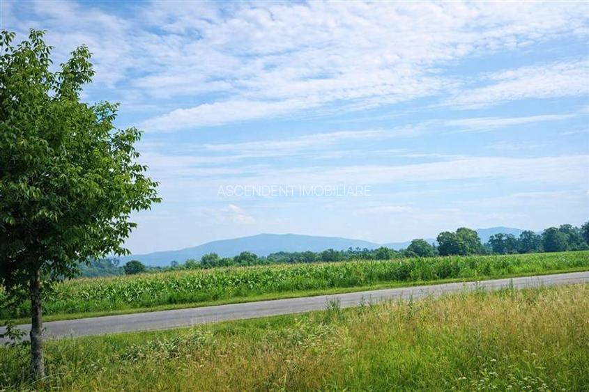 Lot  pentru casa, 800 mp intravilan, Bod, 15 min Brasov - 3