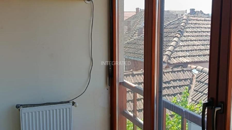 BEIUS, AUREL VLAICU CASA P+M, 200 MP SI TEREN 250 MP. - 8