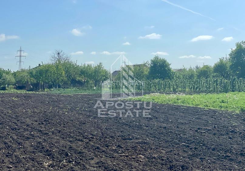 Casa individuala cu curte individuala si gradina - Zona Gai - 21