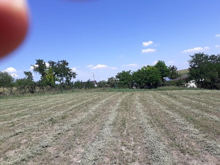 Vand teren parcelabil, pe malul lacului Mostistea, 2400mp, in Belciugatele - 5