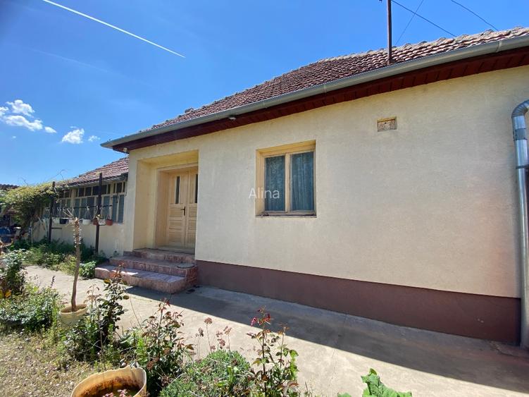 Casa de vânzare in Pecica Arad - 3