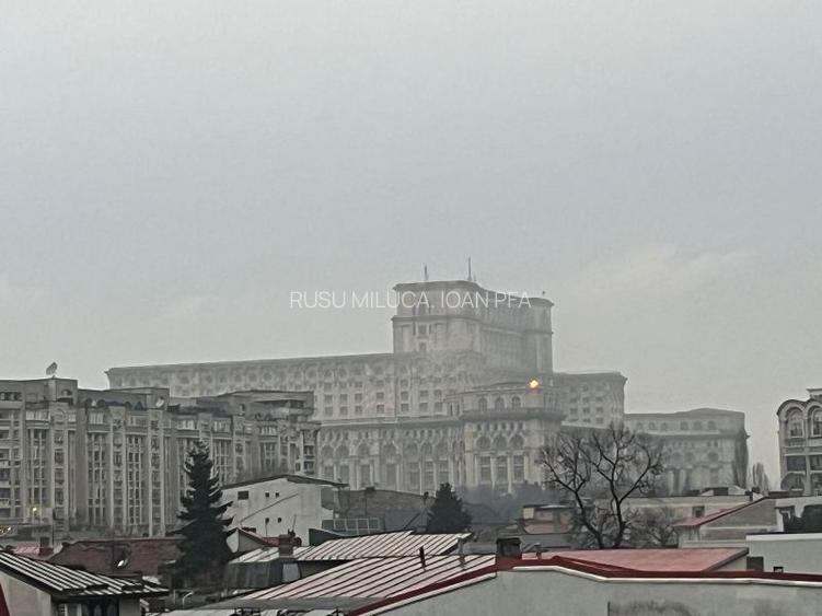 Vanzare Apartament in vila Parc Carol, Unirii - 18