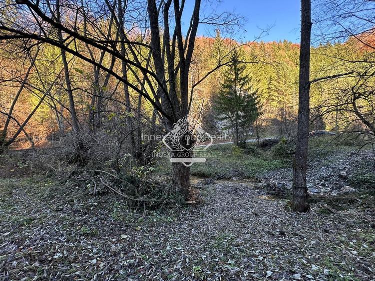 Teren 2.882 mp – oportunitate investitie - Cheile Dâmbovicioarei - 12