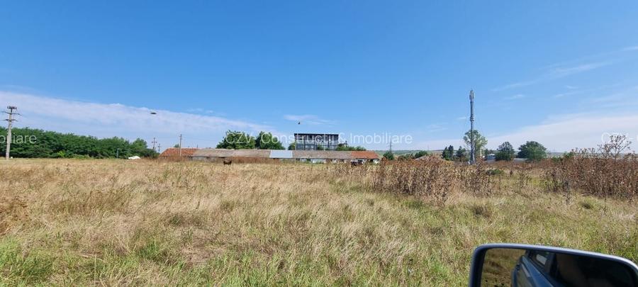 Teren - Depozit- Logistica - 13