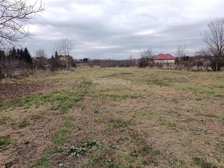 Teren Lacul Snagov Manastirea Snagov - 2