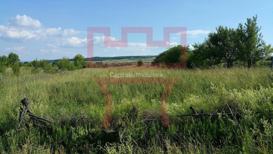 Parcela de teren Valea Fanatelor extravilan parcelat 525mp - 3