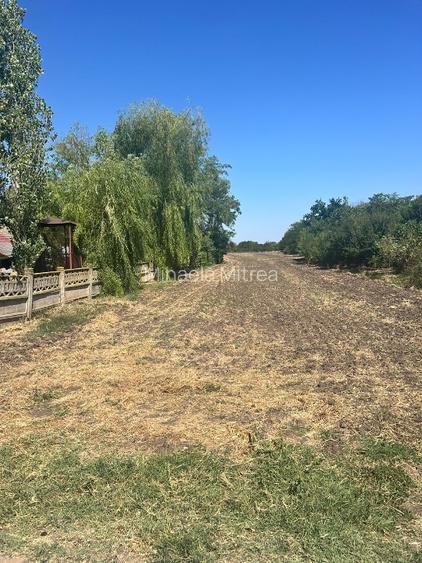 Teren intravilan 4800 mp, Comuna Salciile Prahova - 5