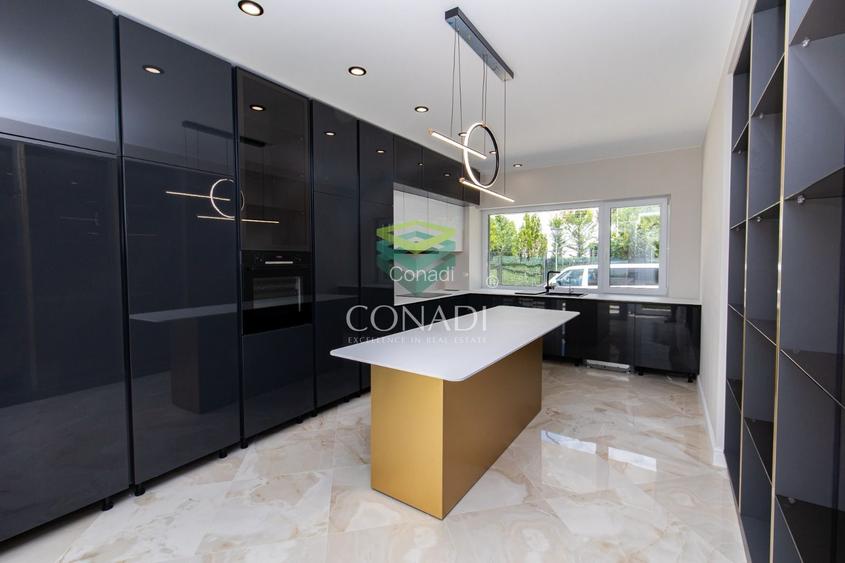 Iancu Nicolae-Pipera, vila cu 5 camere de vanzare, 345 mp construiti - 7