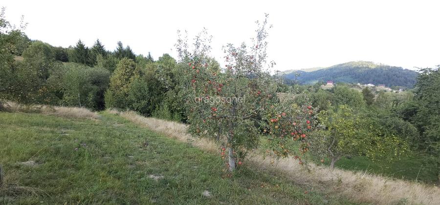 Teren pentru locuinta, casa de vacanta, pensiune, Zarnesti (zona Pleasa), PUZ, 2 - 4
