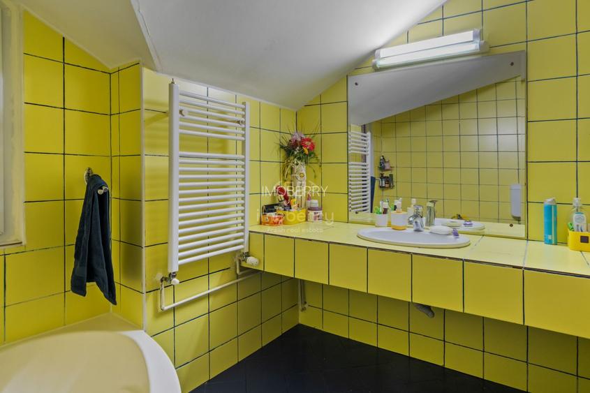 Vanzare casa 5 camere, singura in curet, zona Turda-Ion Mihalache - 7