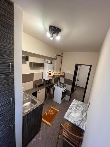 Apartament 1 camera Pacurari - 3