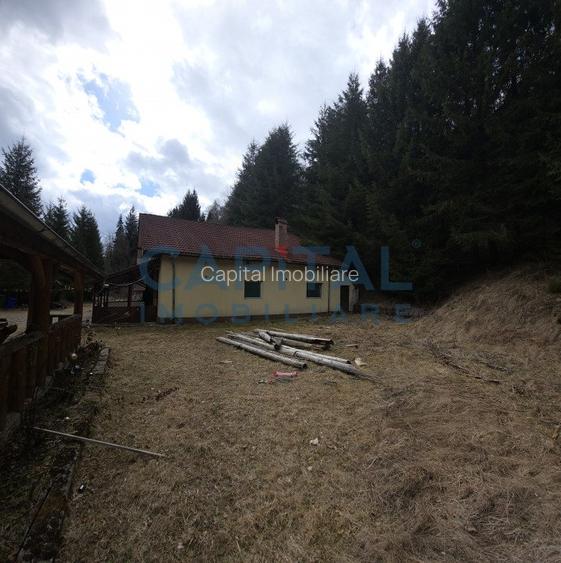 Cabana la munte Rucar / Satic - 5