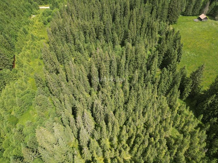 Teren extravilan 5000 MP Comandau - 13