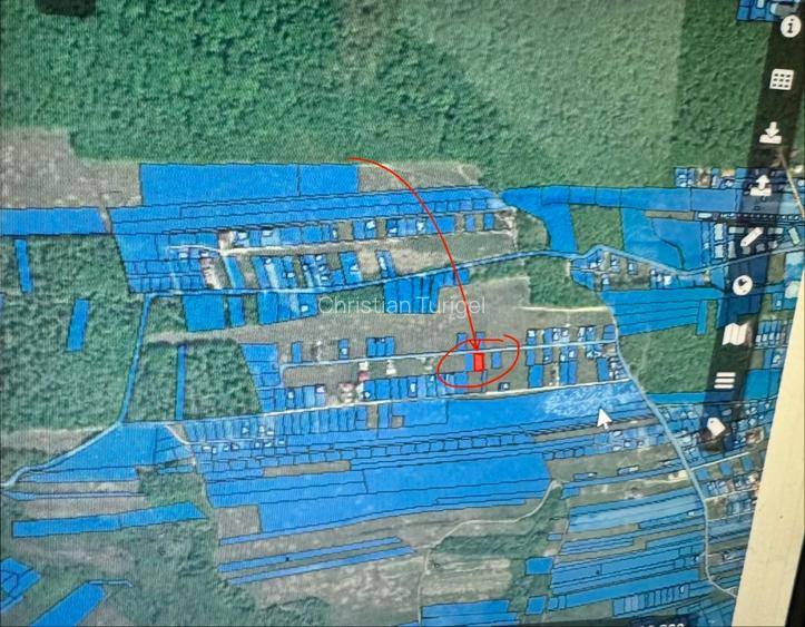 📍 Teren intravilan Premium – 538 mp | Aleea Bradului 59, Smeura – Moșoaia - 4
