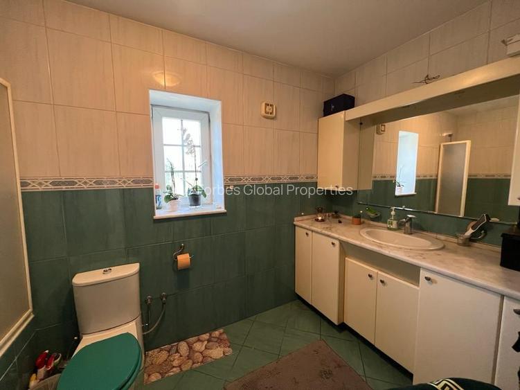 Vila de Vanzare Iancu Nicolae - 11