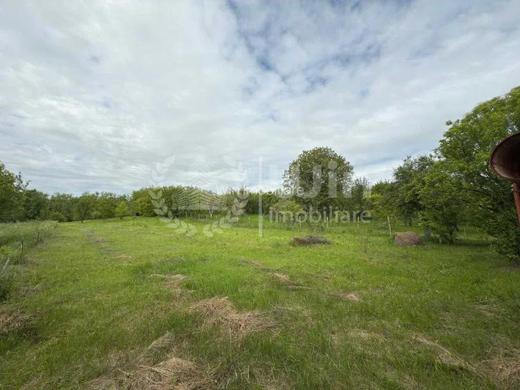 Teren intravilan cu casa renovabila | 2500mp teren | Front 21m | Aiton - 5