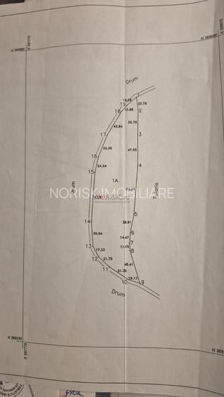 Teren extravilan | Tâncăbești | 5000mp - 5