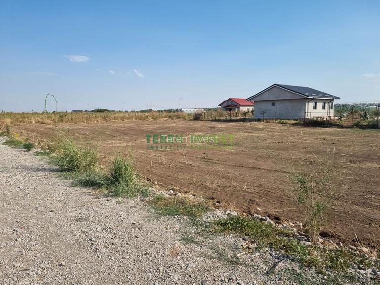 Proprietar - VÂNZARE LOTURI - Frumușani DN 4 - 6