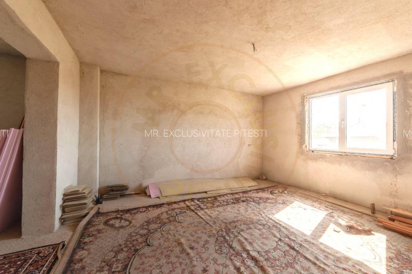 Casă P+1 langa padure cu teren 4.752 mp Cosesti Arges - 13