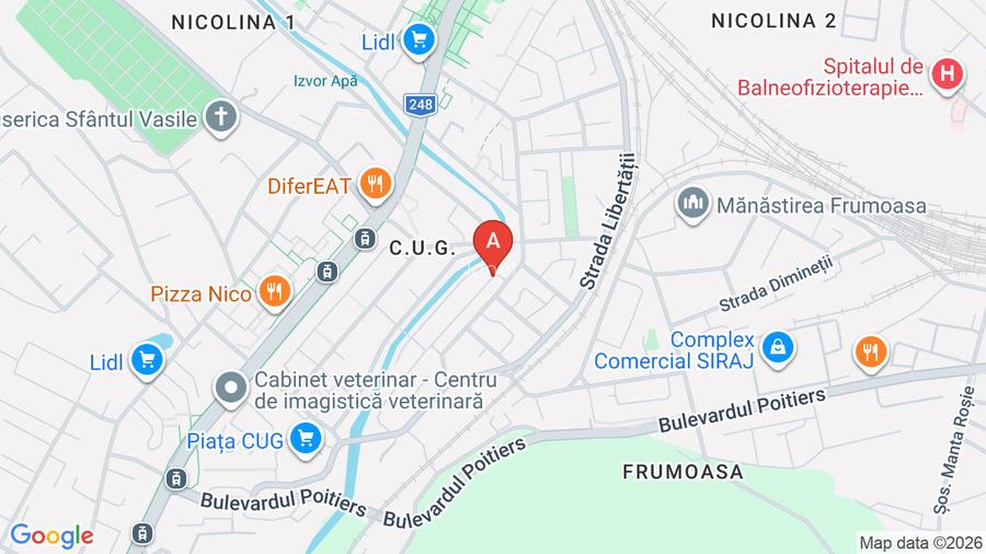 Apartament 3 camere Nicolina CLOPOTARI  - 10