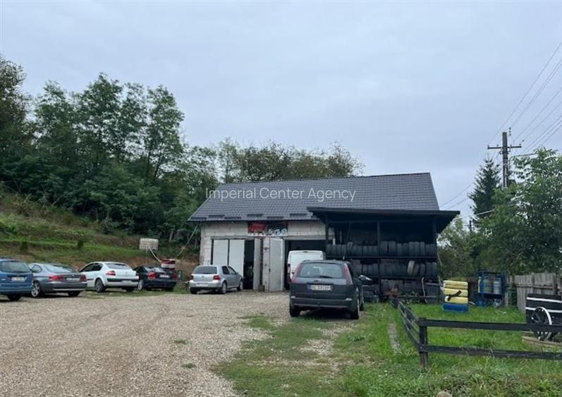 SERVICE DE VANZARE IN EXCLUSIVITATE IN BARSANESTI (BC) - 2