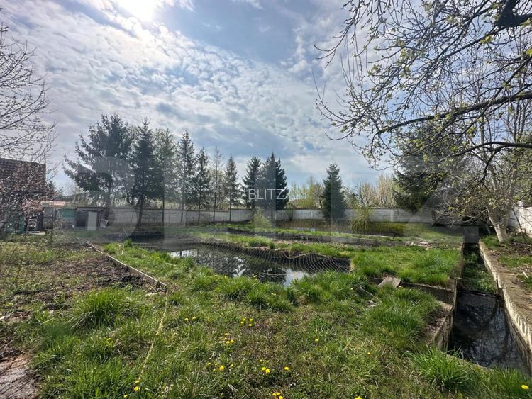 Investitie: Casa cu teren constructii si pastravarie - Prejmer, Brasov - 5