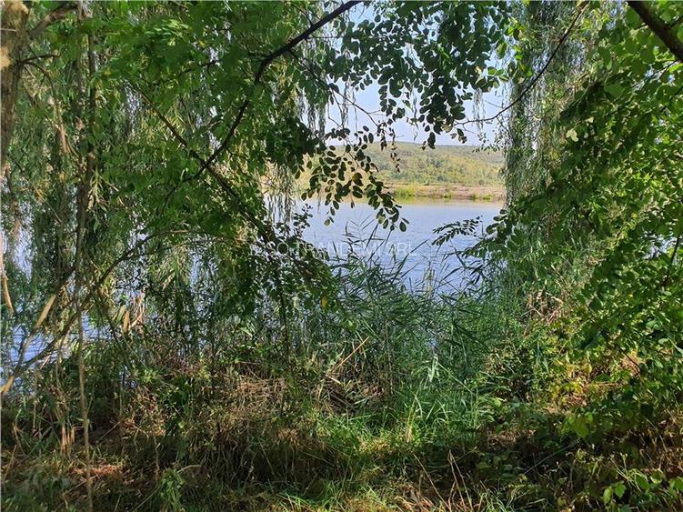 Teren intravilan Sacel -zona lacuri -ultimul lot de 900mp - 27