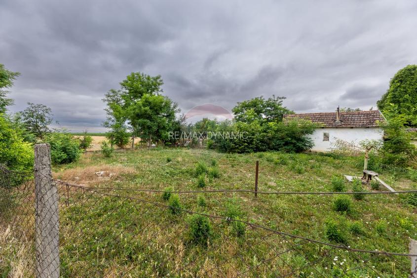 Casă cu 3 camere de vânzare, renovată la gri, teren 2100m Variașu Mare - 14