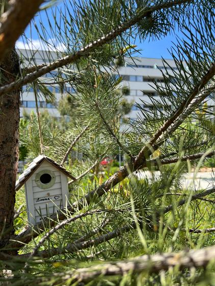 3 camere finalizat: 83mp SU totala I Sect 1 Lac Straulesti-Mall Colosseum - 15