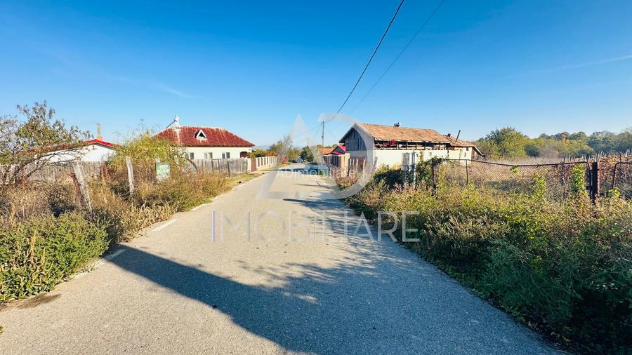 Teren situat în Drăguțești, sat Urechești - 2