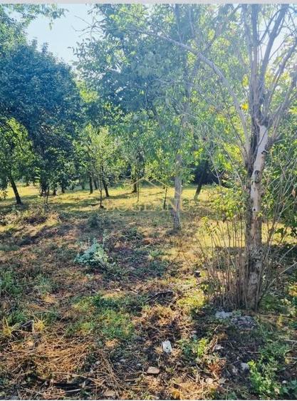 BG131-Teren: 2.822 mp pentru Proiect Imobiliar Premium COMISION 0% - 4